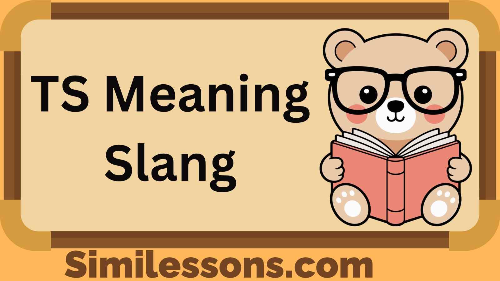 TS Meaning Slang