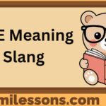 BAE Meaning Slang